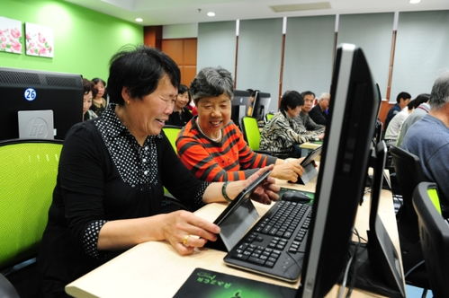 聚焦五大功能，賈煒為上海學習型城市建設注入高質量教育咨詢服務新動能